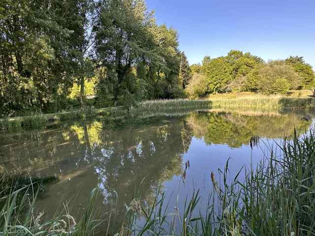 A VENDRE TERRAIN D’AGREMENT AVEC PIECE D’EAU A LA PERRIERE
