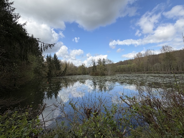 À VENDRE – Domaine Nature Exceptionnel au cœur du Perche
